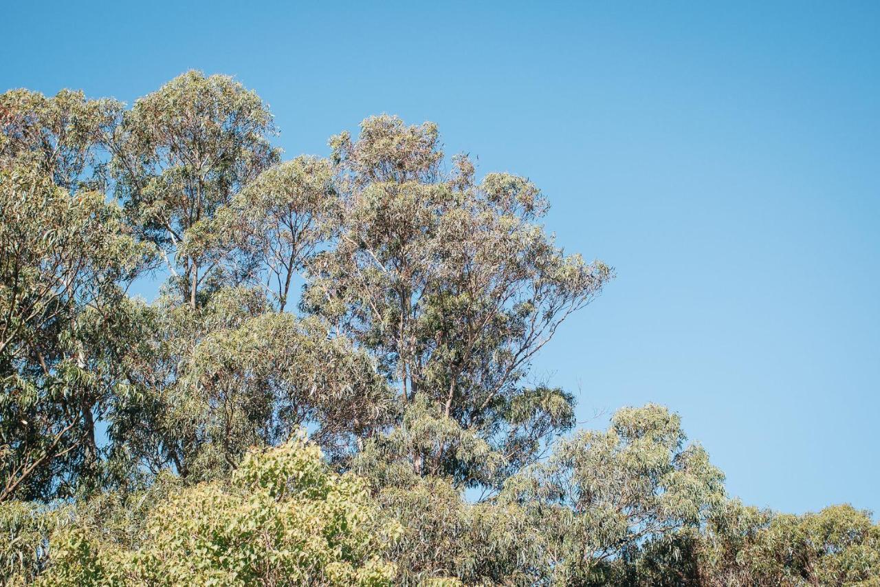 Quality Apartments Banksia Albany Exterior foto