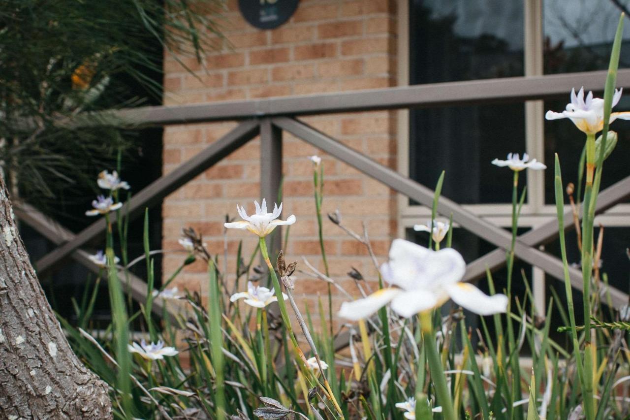 Quality Apartments Banksia Albany Exterior foto